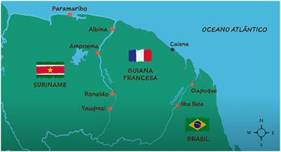 Community engagement in mobile and hard-to-reach populations: a community-based intervention for malaria elimination in a tri-national region of the Guiana Shield